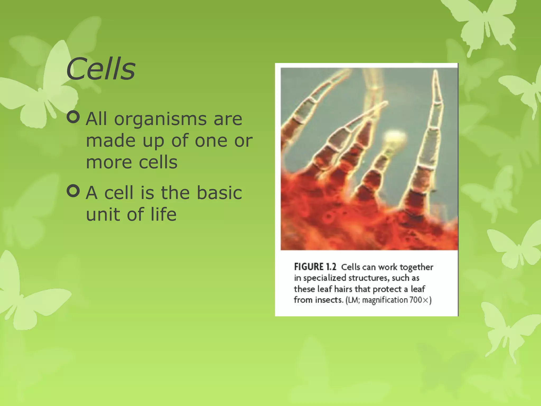 Cells
 All organisms are
  made up of one or
  more cells
 A cell is the basic
  unit of life
 