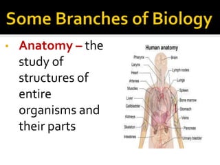 Introduction to Biology | PPTX