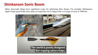 Shinkansen Sonic Boom
Many man-made things have significant scope for optimising their design. For example, Shinkansen,
Japan’s high-speed bullet train, plays an important role in Japan with a coverage of close to 3000 km.
 