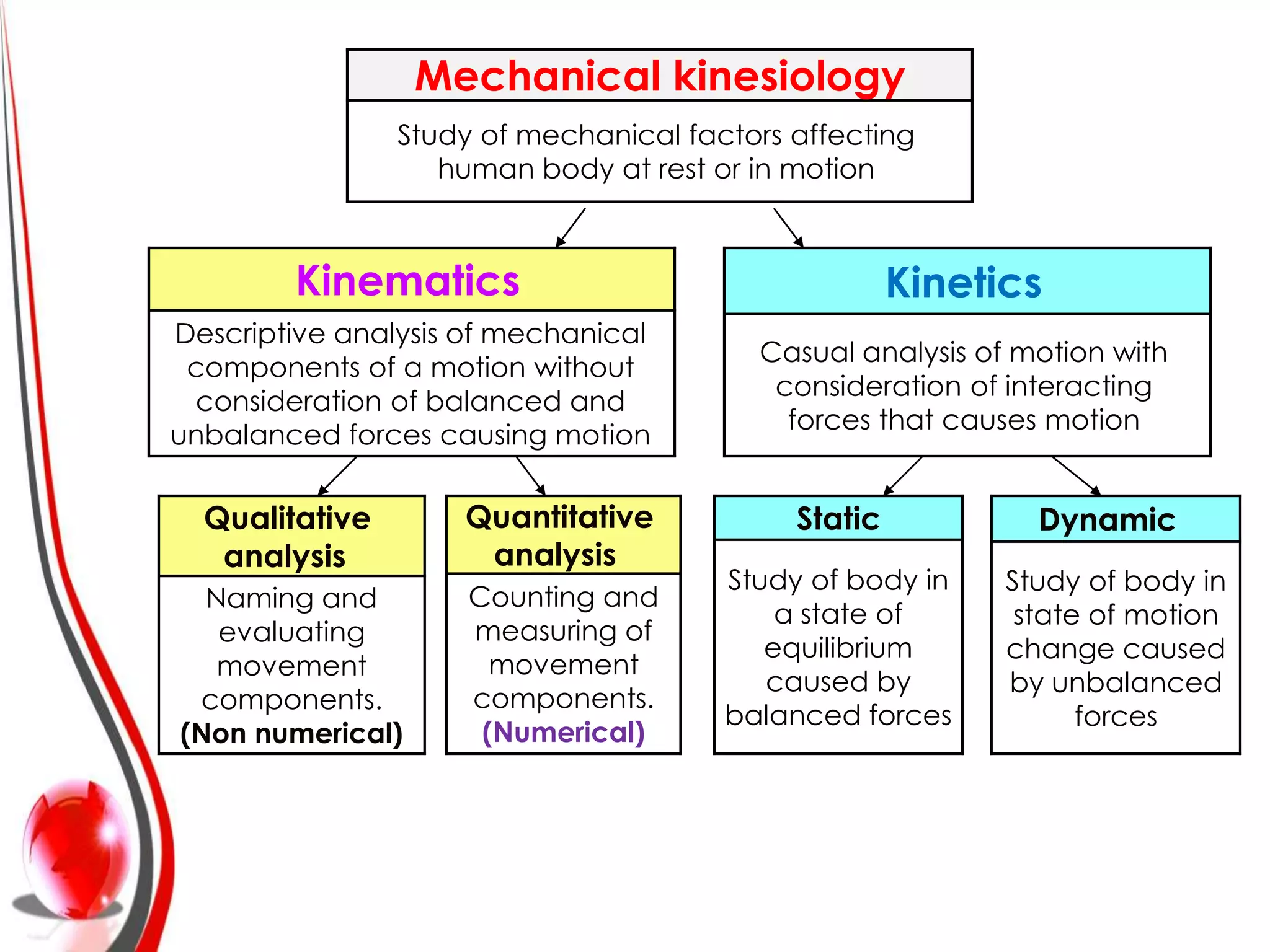 Mechanical kinesiology
                Study of mechanical factors affecting
                   human body at rest or in motion



        Kinematics                                   Kinetics
Descriptive analysis of mechanical
                                         Casual analysis of motion with
 components of a motion without
                                          consideration of interacting
 consideration of balanced and
                                           forces that causes motion
unbalanced forces causing motion


  Qualitative       Quantitative            Static           Dynamic
   analysis          analysis
                                       Study of body in    Study of body in
  Naming and         Counting and
                                           a state of       state of motion
   evaluating        measuring of
                                          equilibrium      change caused
   movement            movement
                                          caused by        by unbalanced
 components.         components.
                                       balanced forces           forces
(Non numerical)       (Numerical)
 
