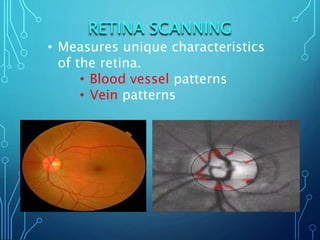 Retina Pattern INTRODUCTION TO BIOMETRIC.pptx
