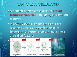 INTRODUCTION TO BIOMETRIC.pptx