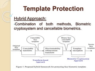 Template Protection
Hybrid Approach:
•Combination of both methods, Biometric
cryptosystem and cancellable biometrics.
 