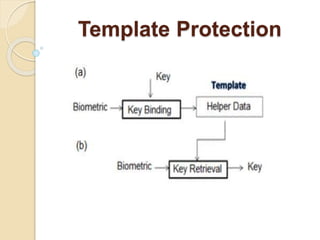 Introduction to biometric systems security | PPTX