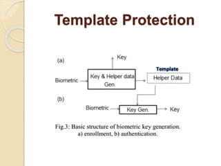 Introduction to biometric systems security | PPTX