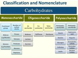 Introduction to biomolecules (carbohydrates)