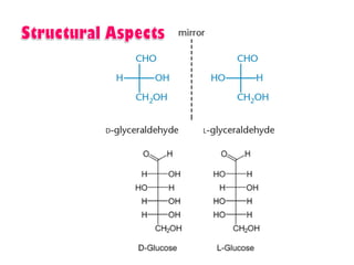 Introduction to biomolecules (carbohydrates)