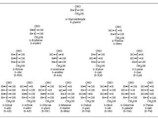 Introduction to biomolecules (carbohydrates)