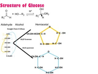 Introduction to biomolecules (carbohydrates)