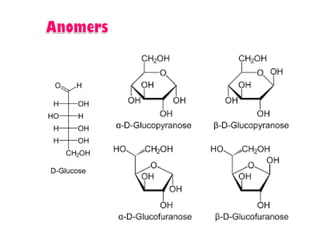 Introduction to biomolecules (carbohydrates)