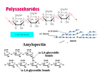 Introduction to biomolecules (carbohydrates)