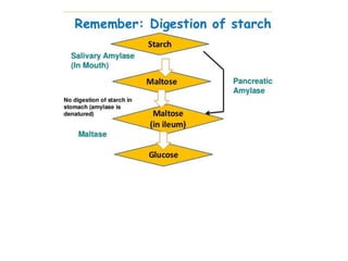 Introduction to biomolecules (carbohydrates)