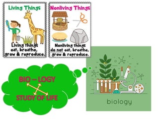 Introduction to biomolecules (carbohydrates)