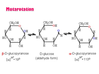 Introduction to biomolecules (carbohydrates)