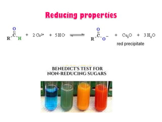 Introduction to biomolecules (carbohydrates)