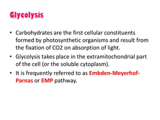 • Carbohydrates are the first cellular constituents
formed by photosynthetic organisms and result from
the fixation of CO2 on absorption of light.
• Glycolysis takes place in the extramitochondrial part
of the cell (or the soluble cytoplasm).
• It is frequently referred to as Embden-Meyerhof-
Parnas or EMP pathway.
 