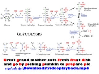 Great grand mother eats fresh fruit dish
and go by picking pumkin to prepare pie
..........Downloadsvideoplayback.mp4
 