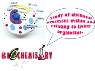 Introduction to biomolecules (carbohydrates)