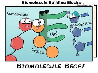 Introduction to biomolecules (carbohydrates)