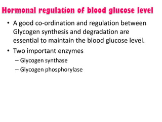 • A good co-ordination and regulation between
Glycogen synthesis and degradation are
essential to maintain the blood glucose level.
• Two important enzymes
– Glycogen synthase
– Glycogen phosphorylase
 