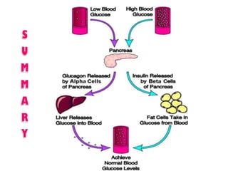 Introduction to biomolecules (carbohydrates)