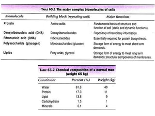 Introduction to biomolecules (carbohydrates)