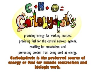providing energy for working muscles,
providing fuel for the central nervous system,
enabling fat metabolism, and
preventing protein from being used as energy.
 