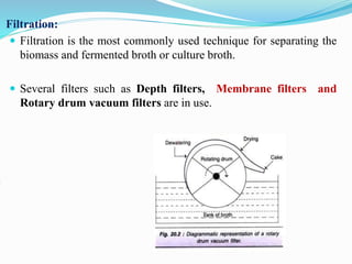 Introduction to Bioprocess engineering | PPTX