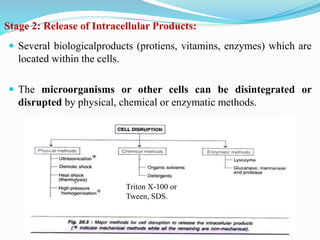 Introduction to Bioprocess engineering | PPTX