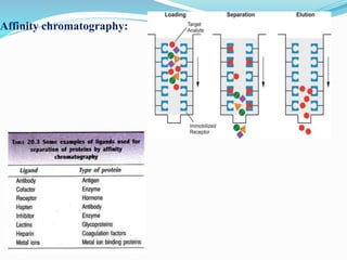 Introduction to Bioprocess engineering | PPTX