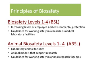 Introduction to biosafety | PPTX