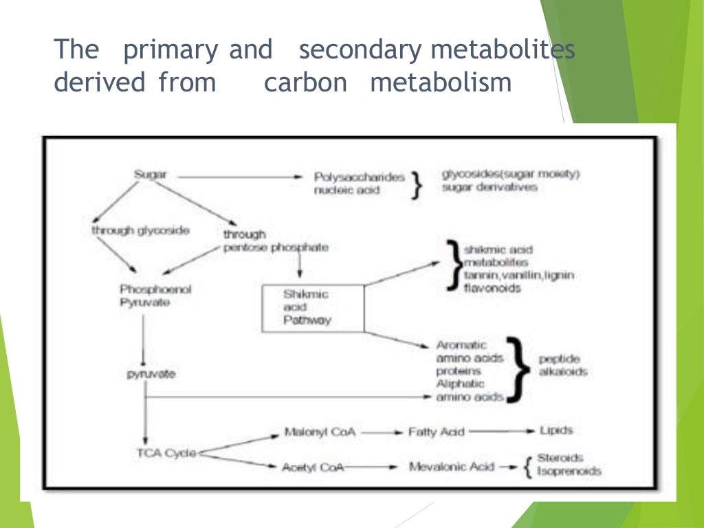 The primary and secondary metabolites
derived from carbon metabolism
 
