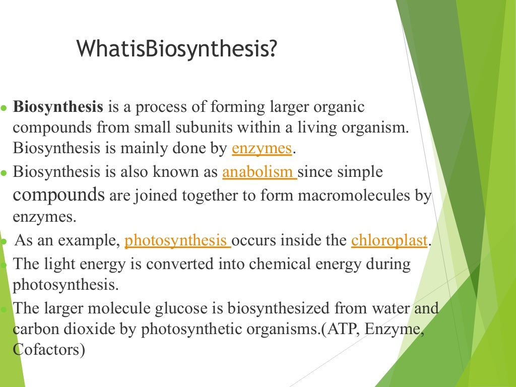 WhatisBiosynthesis?
● Biosynthesis is a process of forming larger organic
compounds from small subunits within a living organism.
Biosynthesis is mainly done by enzymes.
● Biosynthesis is also known as anabolism since simple
compounds are joined together to form macromolecules by
enzymes.
● As an example, photosynthesis occurs inside the chloroplast.
● The light energy is converted into chemical energy during
photosynthesis.
● The larger molecule glucose is biosynthesized from water and
carbon dioxide by photosynthetic organisms.(ATP, Enzyme,
Cofactors)
 