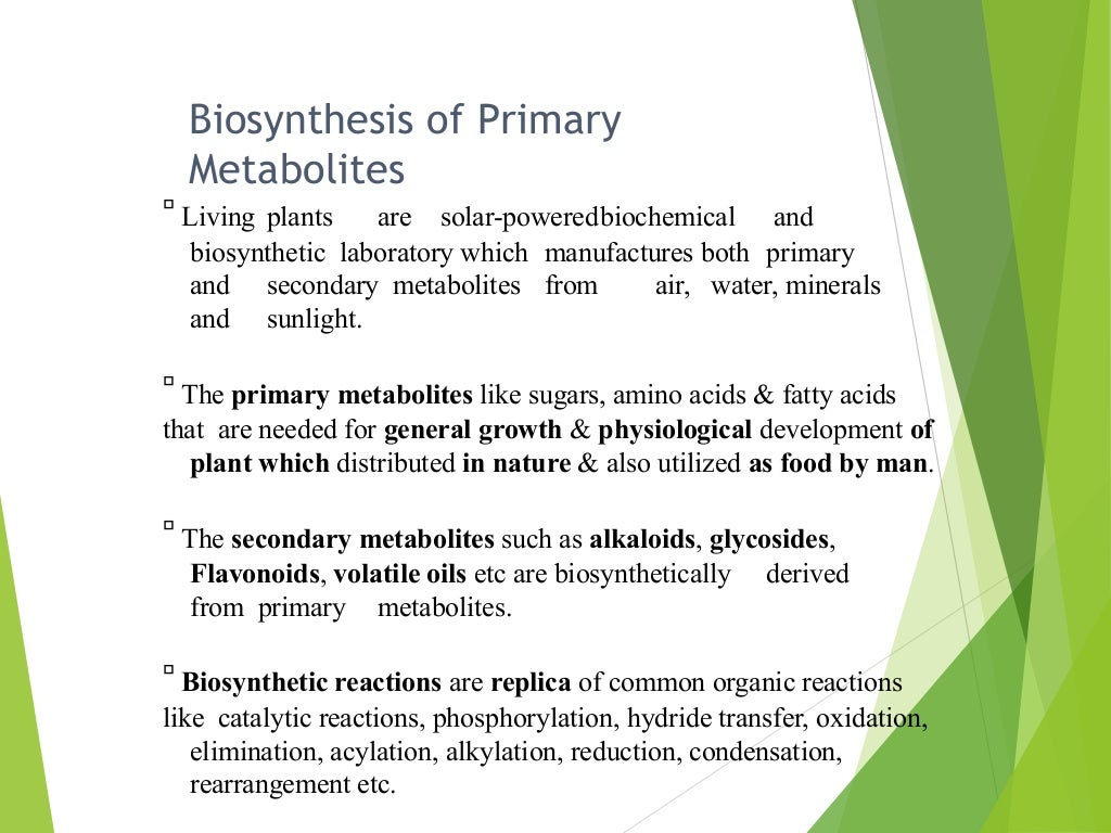 Biosynthesis of Primary
Metabolites

Living plants are solar-poweredbiochemical and
biosynthetic laboratory which manufactures both primary
and secondary metabolites from air, water, minerals
and sunlight.

The primary metabolites like sugars, amino acids & fatty acids
that are needed for general growth & physiological development of
plant which distributed in nature & also utilized as food by man.

The secondary metabolites such as alkaloids, glycosides,
Flavonoids, volatile oils etc are biosynthetically derived
from primary metabolites.

Biosynthetic reactions are replica of common organic reactions
like catalytic reactions, phosphorylation, hydride transfer, oxidation,
elimination, acylation, alkylation, reduction, condensation,
rearrangement etc.
 