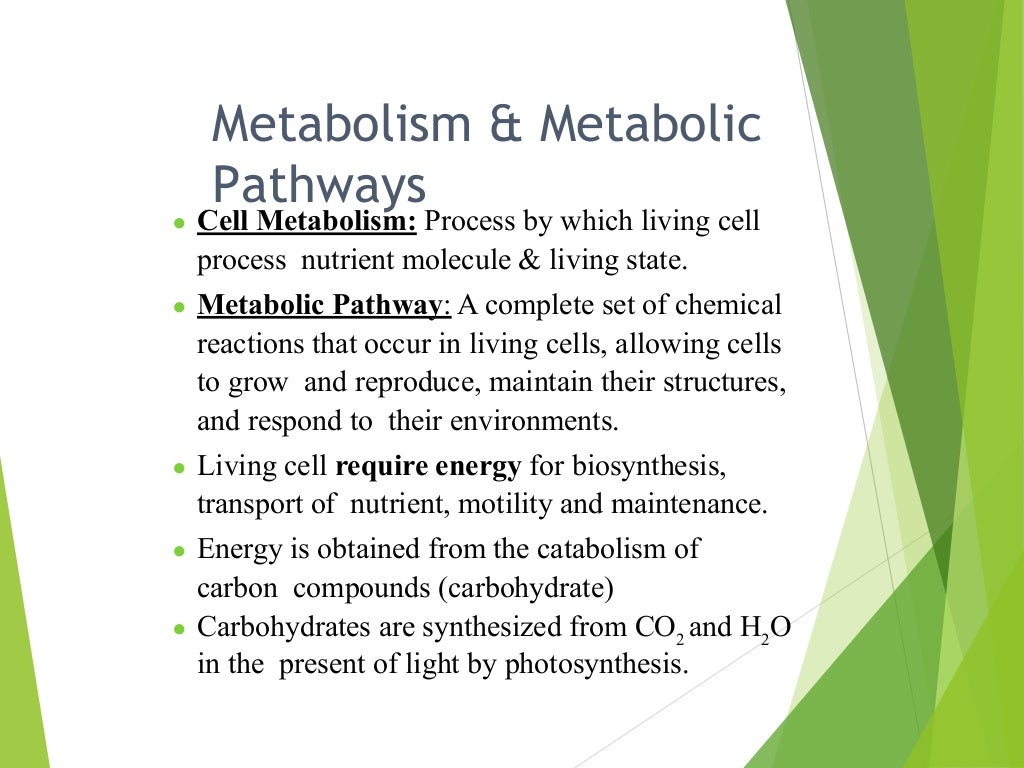 Metabolism & Metabolic
Pathways
● Cell Metabolism: Process by which living cell
process nutrient molecule & living state.
● Metabolic Pathway: A complete set of chemical
reactions that occur in living cells, allowing cells
to grow and reproduce, maintain their structures,
and respond to their environments.
● Living cell require energy for biosynthesis,
transport of nutrient, motility and maintenance.
● Energy is obtained from the catabolism of
carbon compounds (carbohydrate)
● Carbohydrates are synthesized from CO2
and H2
O
in the present of light by photosynthesis.
 