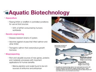 Introduction to Biotechnology | PDF