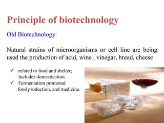 Introduction to biotechnology | PDF