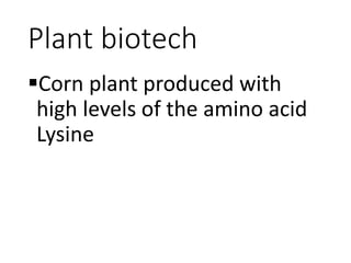 Plant biotech
Corn plant produced with
high levels of the amino acid
Lysine
 