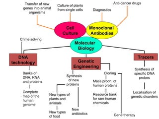 Biotechnology Introduction Introduction to Biotechnology and its history.ppt