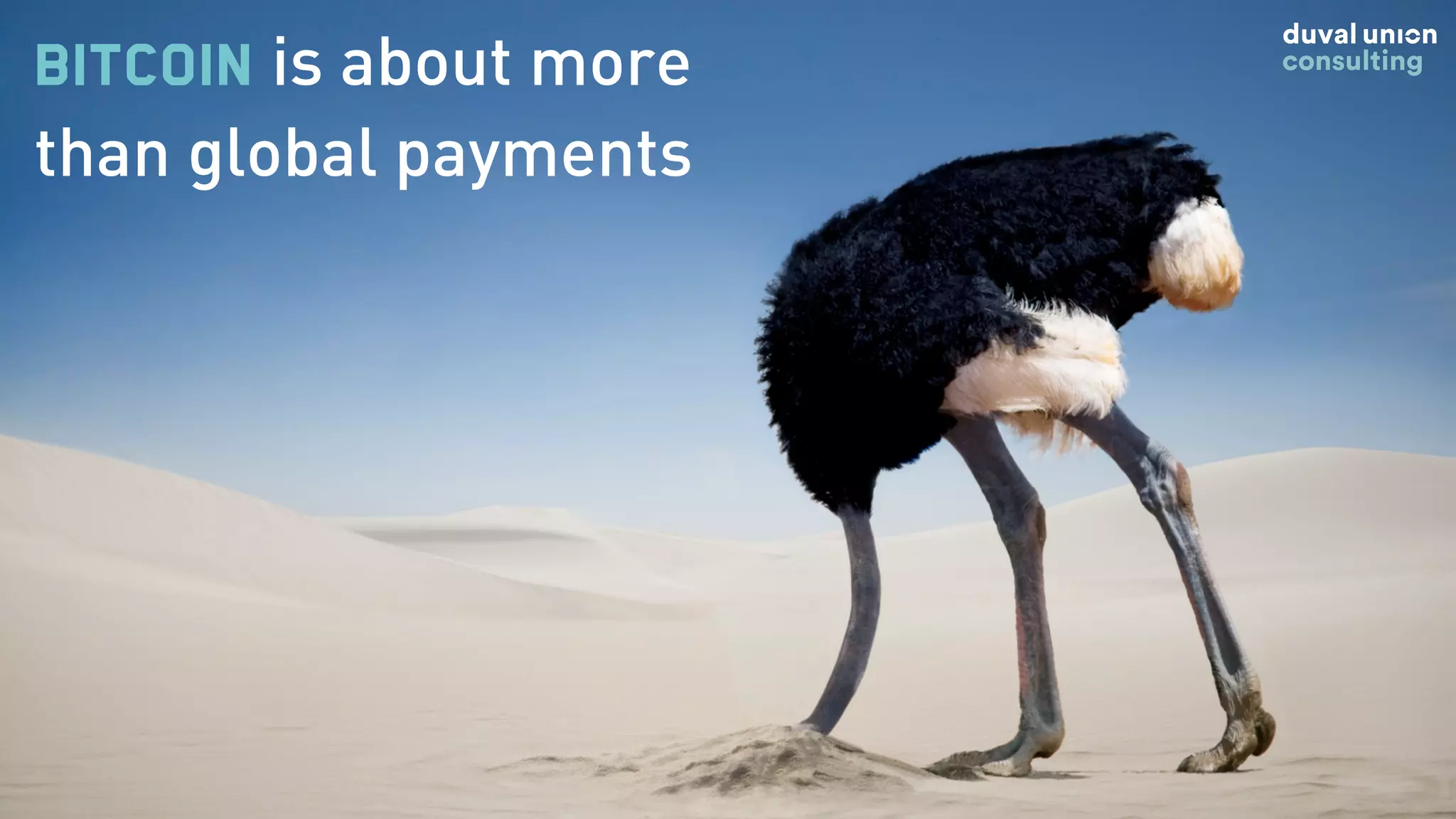 @SDWOUTERS
Bitcoin is about more
than global payments
 