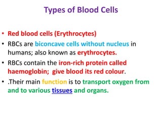 Types of Blood Cells
• Red blood cells (Erythrocytes)
• RBCs are biconcave cells without nucleus in
humans; also known as erythrocytes.
• RBCs contain the iron-rich protein called
haemoglobin; give blood its red colour.
• .Their main function is to transport oxygen from
and to various tissues and organs.
 