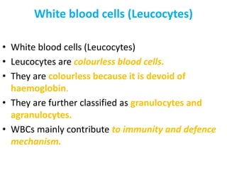 White blood cells (Leucocytes)
• White blood cells (Leucocytes)
• Leucocytes are colourless blood cells.
• They are colourless because it is devoid of
haemoglobin.
• They are further classified as granulocytes and
agranulocytes.
• WBCs mainly contribute to immunity and defence
mechanism.
 