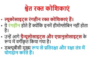 श्वेत रक्त कोजिकाएं
• ल्यूकोसाइटट्स रंगहीन रक्त कोजिकाएं हैं।
• ये रंगहीन हयते हैं क्योंवक इनमें हीमयग्लयवबन नहीों हयता
है।
• उन्हें आगे ग्रैन्यूलोसाइटट्स और एग्रानुलोसाइटट्स क
े
रूप में िगीक
ृ त वकया गया है।
• डब्ल्यूबीसी मुख्य रूप से प्रजतरक्षा और रक्षा तंत्र में
योगदान करते हैं।
 