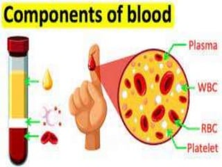 INTRODUCTION TO BLOOD!.pptx