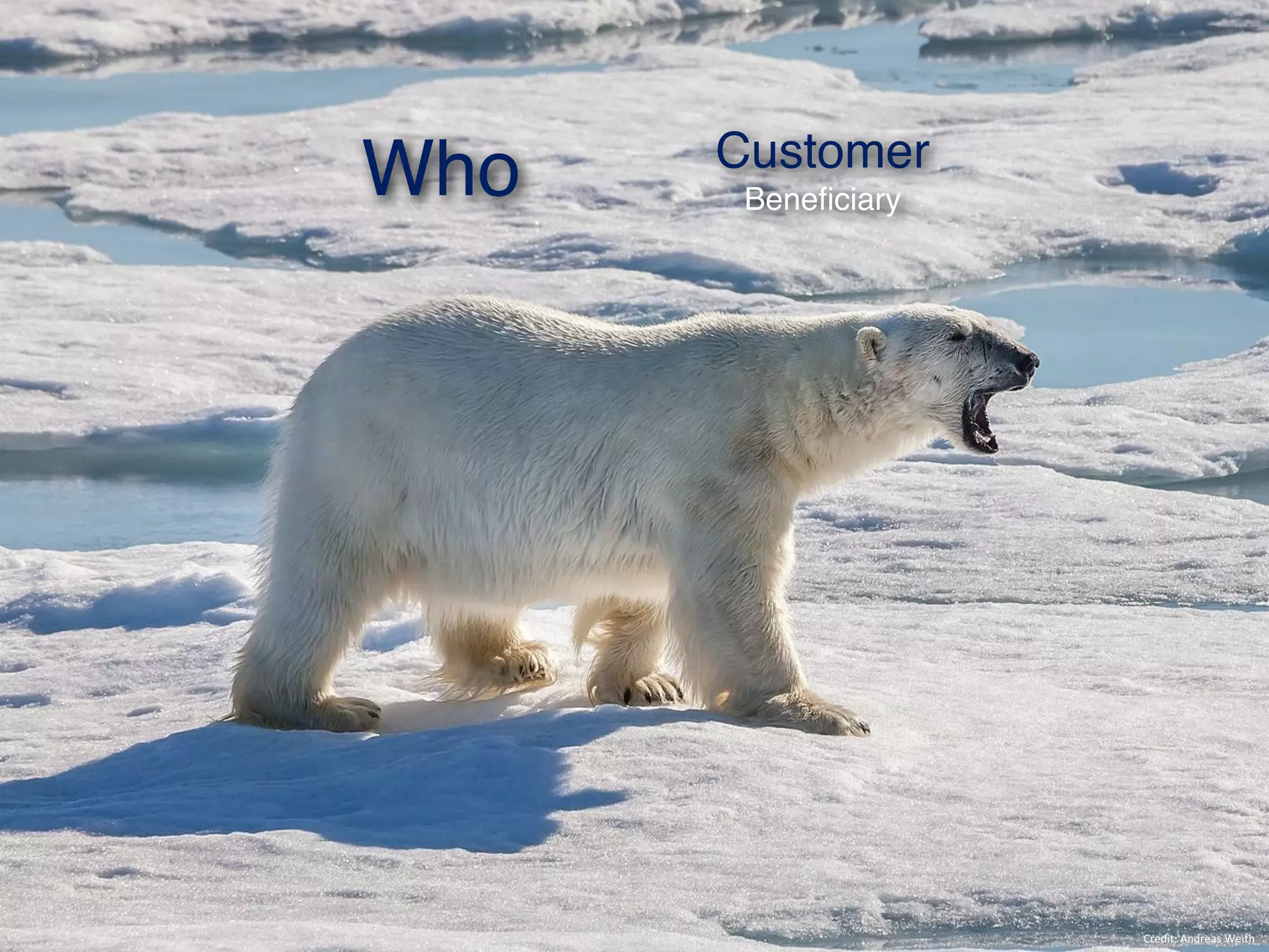 Who Customer
Beneficiary
Credit:	Andreas	Weith
 