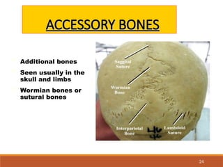 INTRODUCTION TO BONES.ppt general anatomy mbbs | PPT