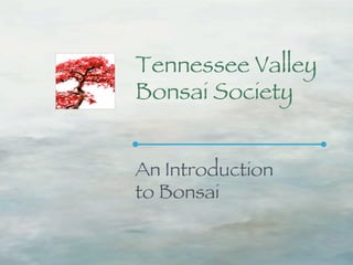 Tennessee Valley
Bonsai Society


An Introduction
to Bonsai
 