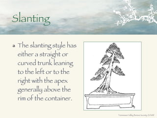 Introduction to Bonsai | PDF