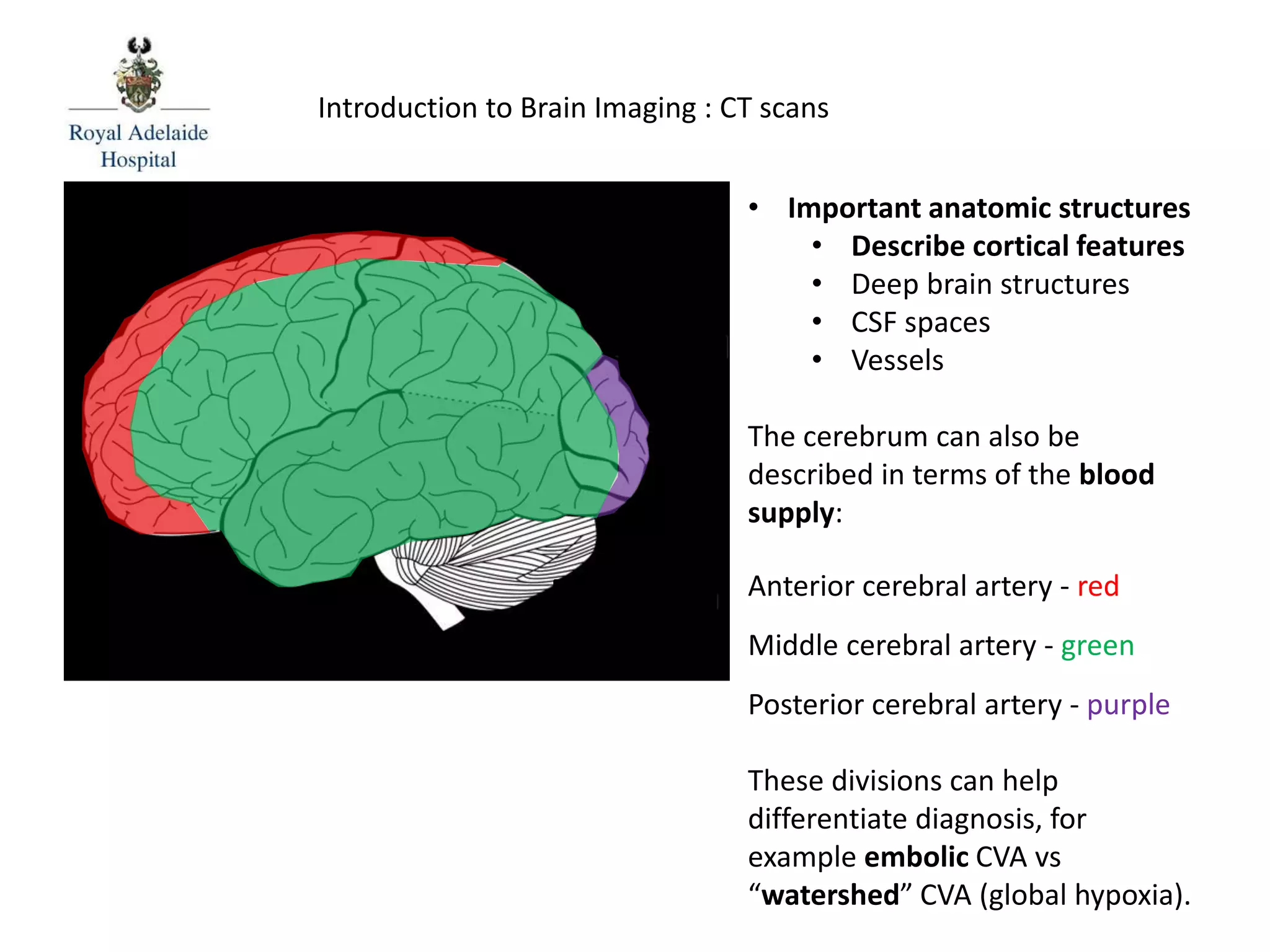 Introduction to Brain Imaging : CT scans
• Important anatomic structures
• Describe cortical features
• Deep brain structures
• CSF spaces
• Vessels
The cerebrum can also be
described in terms of the blood
supply:
Anterior cerebral artery - red
Middle cerebral artery - green
Posterior cerebral artery - purple
These divisions can help
differentiate diagnosis, for
example embolic CVA vs
“watershed” CVA (global hypoxia).
 