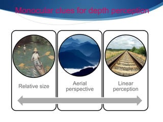 Monocular clues for depth perception
Relative size
Aerial
perspective
Linear
perception
 